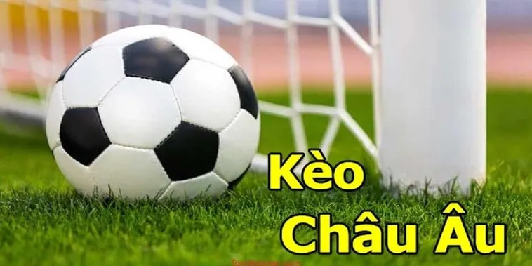 Bí Quyết Đọc Kèo Châu Âu Để Nâng Cao Hiệu Quả Đầu Tư Thể Thao