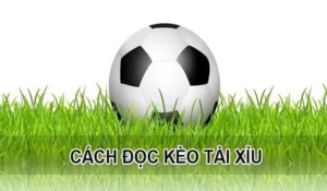 Bí Quyết Đọc Kèo Tài Xỉu Hiệp 1 Chắc Thắng Cho Người Mới