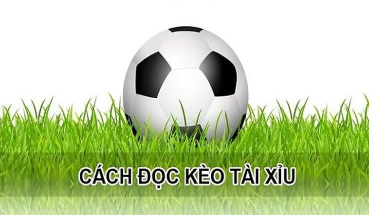 Bí Quyết Đọc Kèo Tài Xỉu Hiệp 1 Chắc Thắng Cho Người Mới